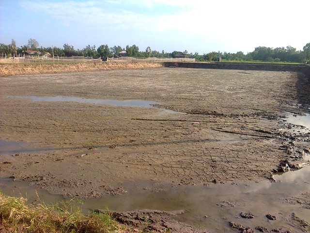 kiểm tra bùn đáy ao tôm