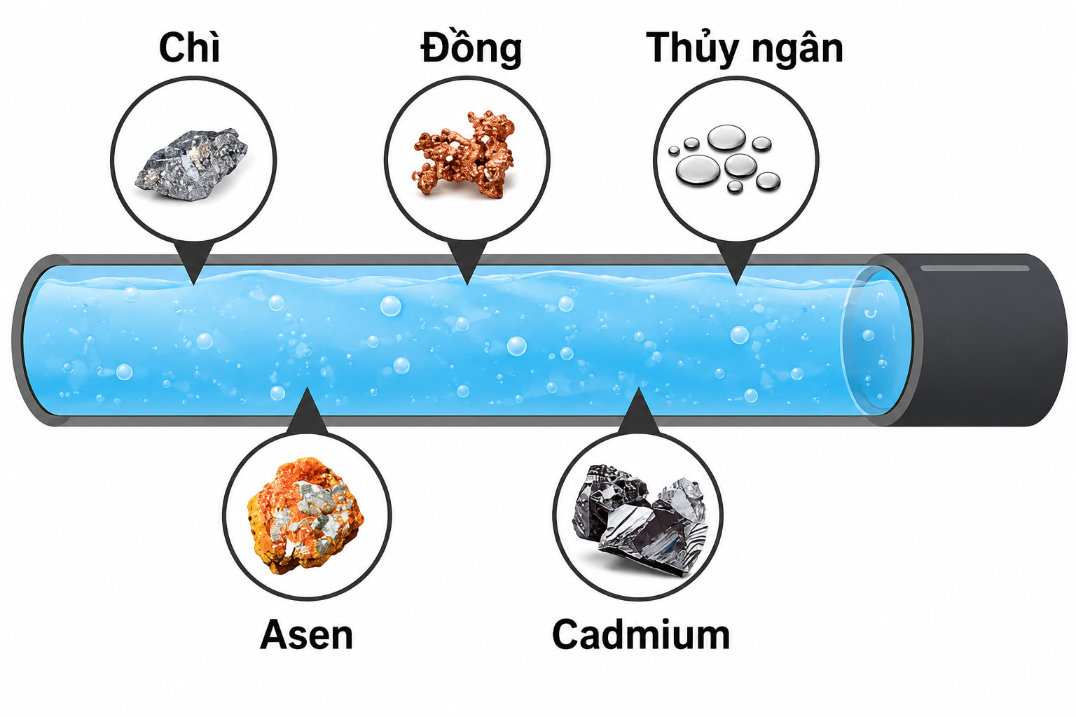 các loại kim loại nặng trong ao nuôi tôm