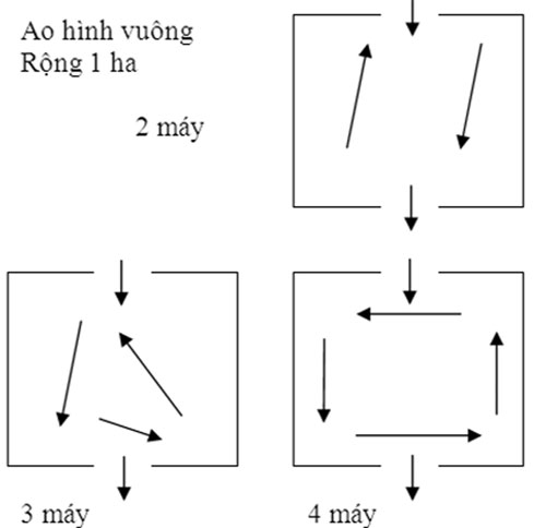 sơ đồ bố trí dàn quạt ao tôm