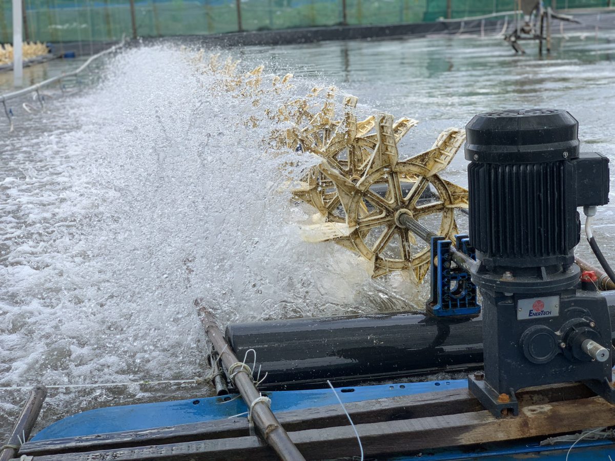 motor giảm tốc nuôi tôm Sagar xuất xứ Ấn Độ
