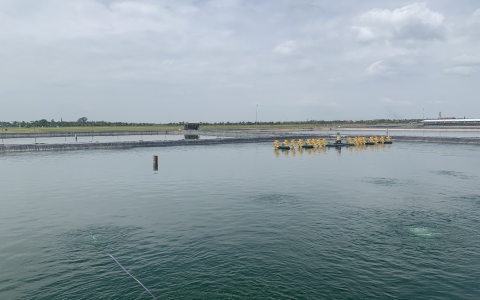 Motor Giảm Tốc Sagar 1/23 Cho Trang Trại Nuôi Tôm Chất Lượng Cao