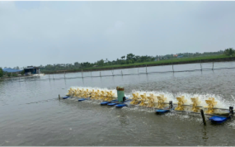 Hộp Số Giảm Tốc Nuôi Tôm Sagar - Giải Pháp Tối Ưu Cho Ao Tôm