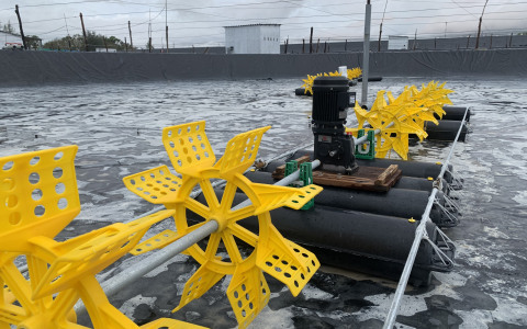 Hiệu Quả Sử Dụng Motor Giảm Tốc Ao Nuôi Tôm Trong Thực Tế