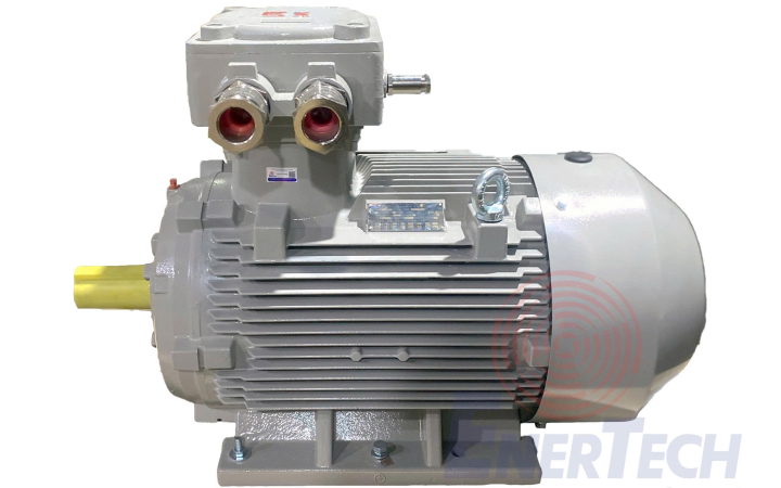 Hướng Dẫn Chi Tiết Cách Phân Loại Và Lựa Chọn Động Cơ Điện Cho Môi Trường Cháy Nổ