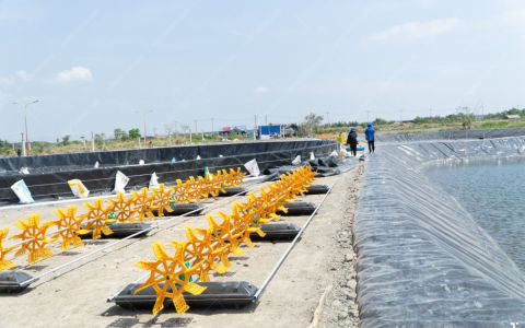 Quy Trình Bảo Dưỡng Động Cơ Quạt Nước Ao Tôm Trước Khi Bước Vào Vụ Nuôi Mới