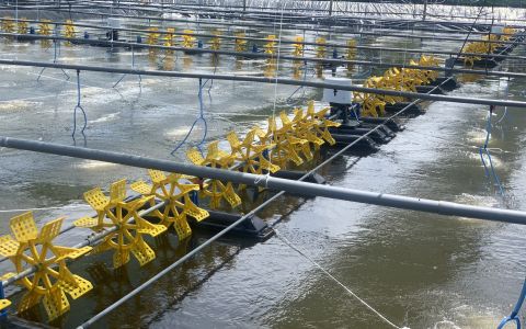 Cách Lựa Chọn Nhà Cung Cấp Quạt Nước Ao Tôm Phù Hợp
